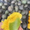 SoCo Farmers Market gift card