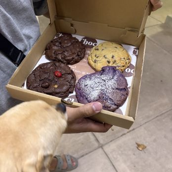 Choc Cookies - Desserts Near Me - Fremont, California Choc Cookies - Desserts Near Me - Fremont, California