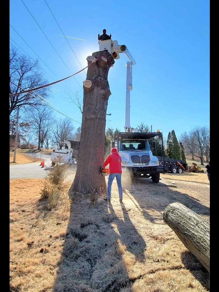Rene Martinez Tree Service - tree service in Kansas City, MO