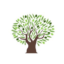 Jenson Abraham, Md - Full Life Primary Care- We ant you to live your life Abundantly- to the Fullest possible and to partner with you in that journey