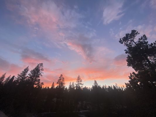 Tamarack Flat Campground by null