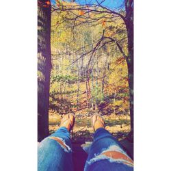 Revelle's River Resort