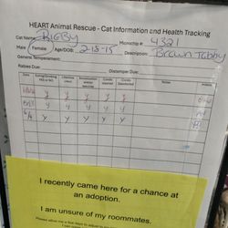 Heart Animal Rescue & Adoption Team - Rigby's data sheet