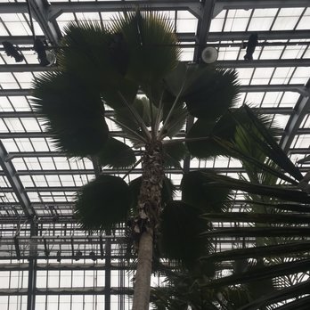 Garfield Park Conservatory - Parks Near Me - Chicago, Illinois