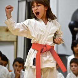 DB Karate School - Spirit