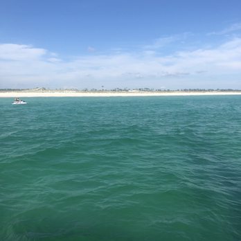 Paradise Adventures - Boat Charters Near Me - Panama City Beach, Florida Paradise Adventures - Boat Charters Near Me - Panama City Beach, Florida