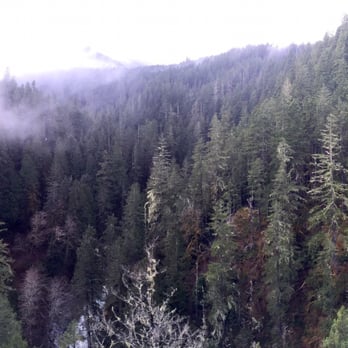 Falls View & Canyon - Panoramic views - Hiking Near Me - Quilcene, Washington Falls View & Canyon - Panoramic views - Hiking Near Me - Quilcene, Washington