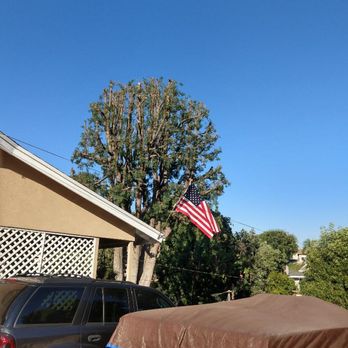 Hala Tree Service Inc. - Tree Services Near Me - Norwalk, California Hala Tree Service Inc. - Tree Services Near Me - Norwalk, California