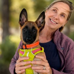 Center Valley Veterinary Hospital