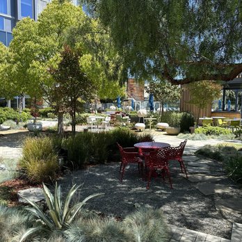 Porta Blu - Outside area - New American Near Me - Menlo Park, California Porta Blu - Outside area - New American Near Me - Menlo Park, California