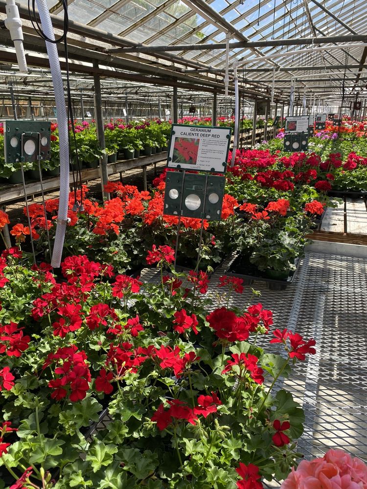 AJ RAHN GREENHOUSES Updated April 2024 106 Photos & 50 Reviews