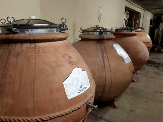 Domaine Jean-François Ganevat by null