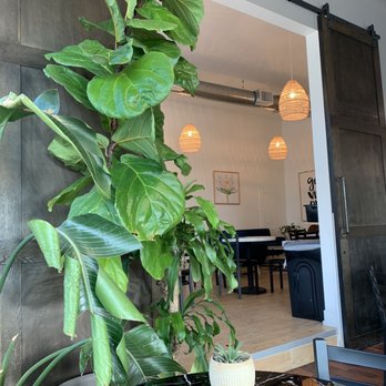 Zen Coffee Company - Coffee & Tea Near Me - Omaha, Nebraska Zen Coffee Company - Coffee & Tea Near Me - Omaha, Nebraska
