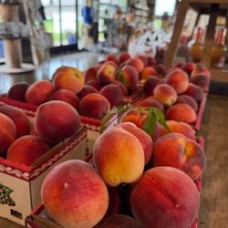 Breedens Orchard - Fresh Hand-Picked Peaches!
