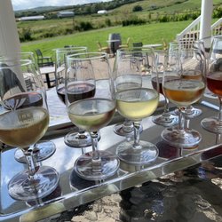 Vignoble Domaine l'Ange-Gardien - Wine tasting
