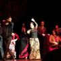 Photo of Ole Flamenco dance Academy
