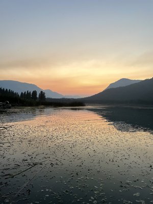 NW Comfy Cabins Vacation Rentals by null