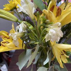 Edible Arrangements - Dead flowers. Same day delivery. DO NOT BUY FROM THIS PLACE