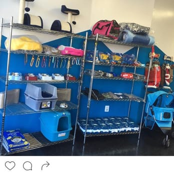 Keith's Pet Necessities - Pet Groomers Near Me - Brooklyn, New York Keith's Pet Necessities - Pet Groomers Near Me - Brooklyn, New York