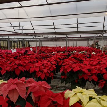 Homewood Nursery Garden Center Updated Covid 19 Hours Homewood Nursery Garden Center