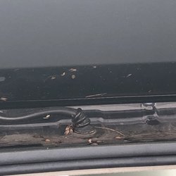 Blue Lagoon Auto Spa - Dirt not wiped off