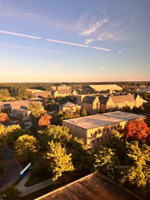 University of Notre Dame by null