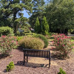Dare Steele Garden - Dare Steele Garden, Waxhaw