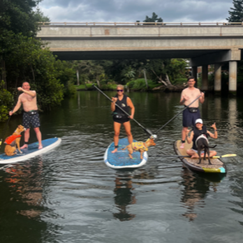 SUP DOG Hawaii - Paddleboarding Near Me - Haleiwa, Hawaii SUP DOG Hawaii - Paddleboarding Near Me - Haleiwa, Hawaii