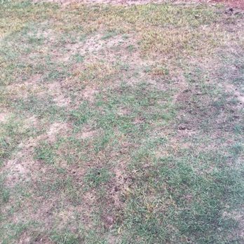 TruGreen Lawn Care - End of September, after years of "service" with TruGreen. - Lawn Services Near Me - Wayne, New Jersey TruGreen Lawn Care - End of September, after years of "service" with TruGreen. - Lawn Services Near Me - Wayne, New Jersey