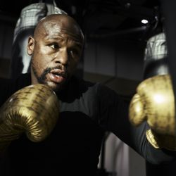 Mayweather Boxing + Fitness