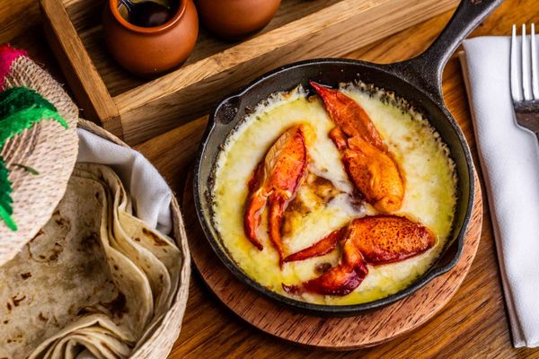 MEXTA Mexican Restaurant by null MEXTA Mexican Restaurant by null