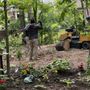 Photo of Turbo Tree Care