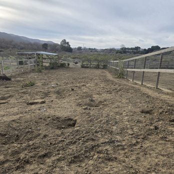 Ostrichland USA - Ground squirrel. So many of them. - Attraction Farms Near Me - Solvang, California Ostrichland USA - Ground squirrel. So many of them. - Attraction Farms Near Me - Solvang, California
