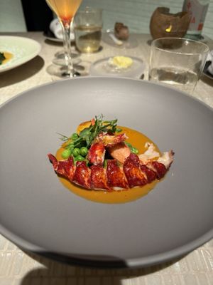 Beige Alain Ducasse by null