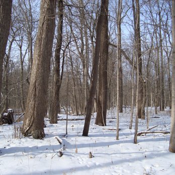 Conner Saw Mill - Our licensed Timber Buyer is here to help you manage your Woodlands - Firewood Near Me - Walton, Indiana Conner Saw Mill - Our licensed Timber Buyer is here to help you manage your Woodlands - Firewood Near Me - Walton, Indiana