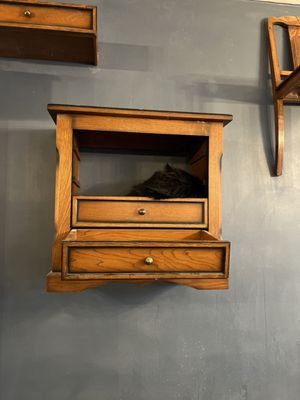 Le Café des Chats by null