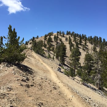 Mount Baden-Powell Trail - Hiking Near Me