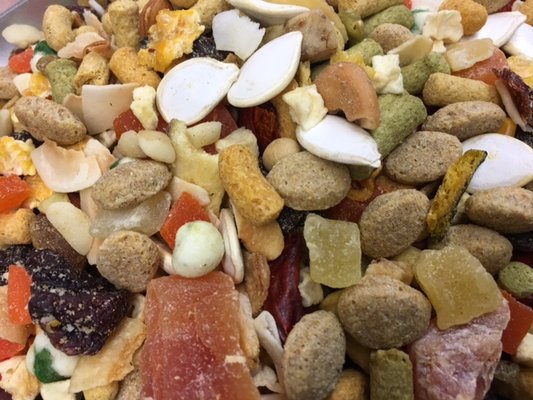 Bird Paradise by null