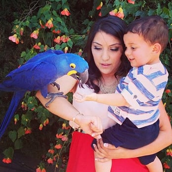 Happy Birds - Adrian's 2nd Birthday Celebration! - Party & Event Planning Near Me