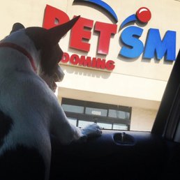 All Smiles after a nail trim, ear cleaning and puppy treat!