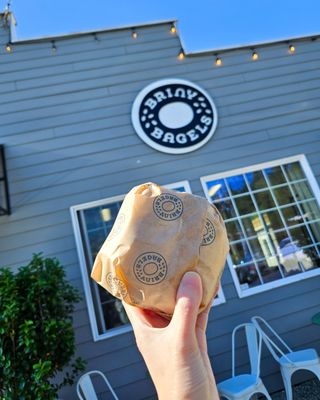 Briny Bagels by null