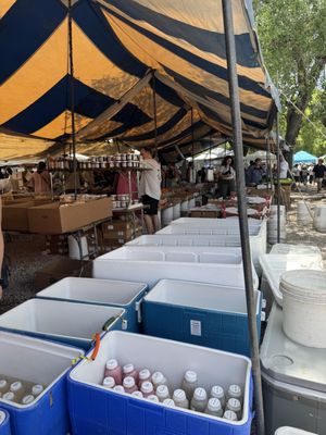 Coconut Grove Farmer's Market by null