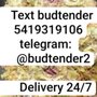 Star Buds Buffalo