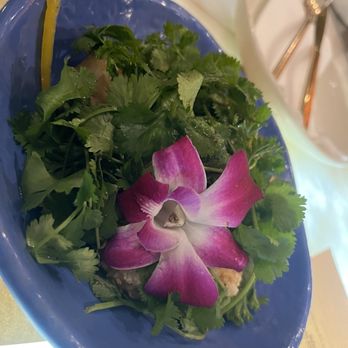 LITA - Shrimp dish aka plate of cilantro - Caribbean Near Me - Walnut Creek, California