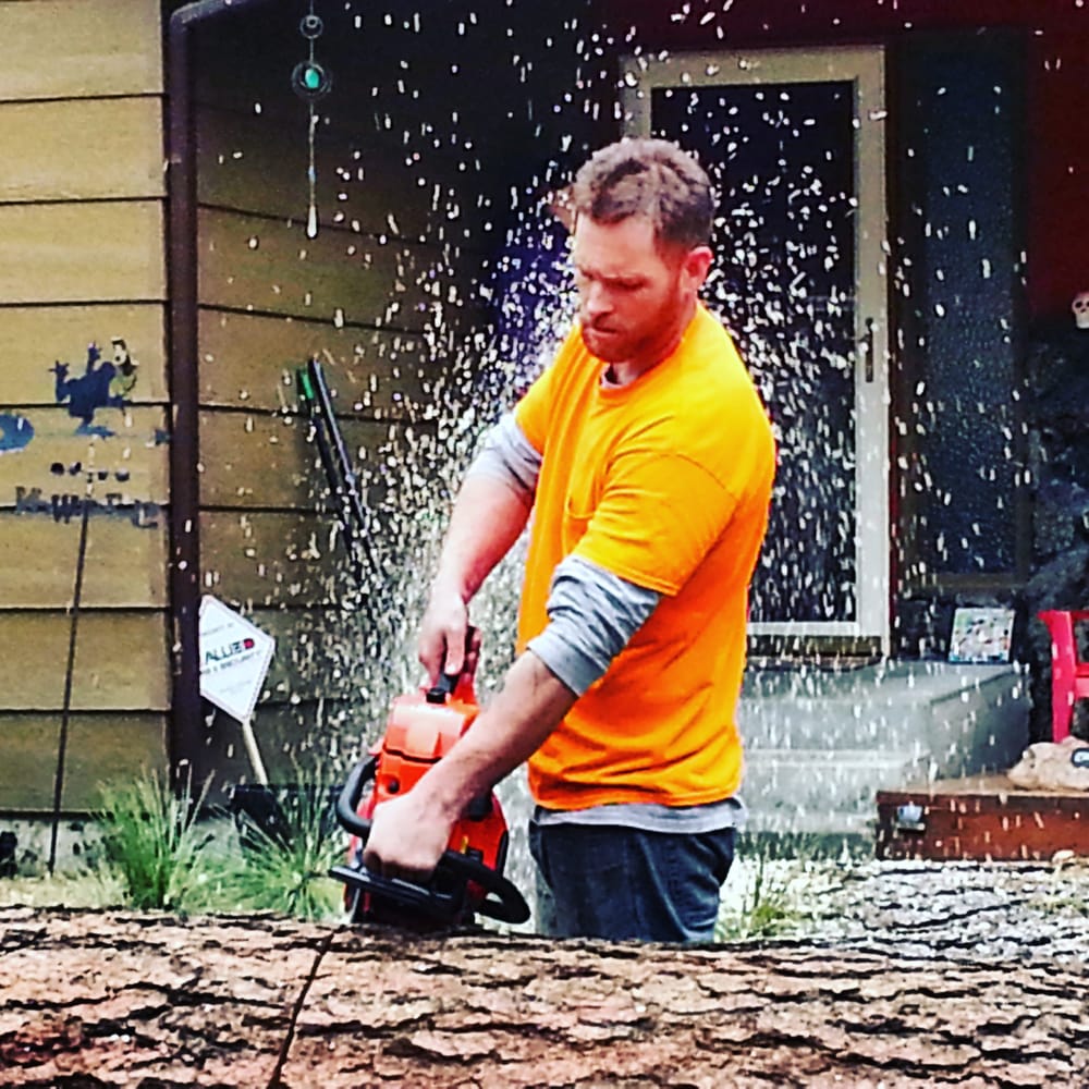 Bridges Family Tree Care - tree service in Spokane, WA