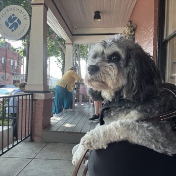 Neighborlily - Front porch - Coffee & Tea Near Me - Nashville, Tennessee Neighborlily - Front porch - Coffee & Tea Near Me - Nashville, Tennessee