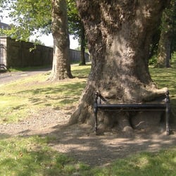 Hungry Tree