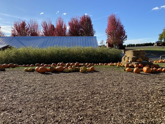 Oregon Heritage Farms by null