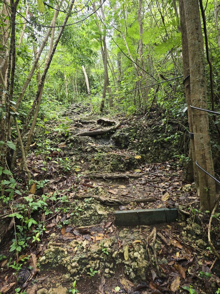 Ecoquest Experiences & Tours Image
