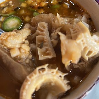 Casa Del Mariachi - Menudo Soup - Mexican Near Me - Seattle, Washington Casa Del Mariachi - Menudo Soup - Mexican Near Me - Seattle, Washington